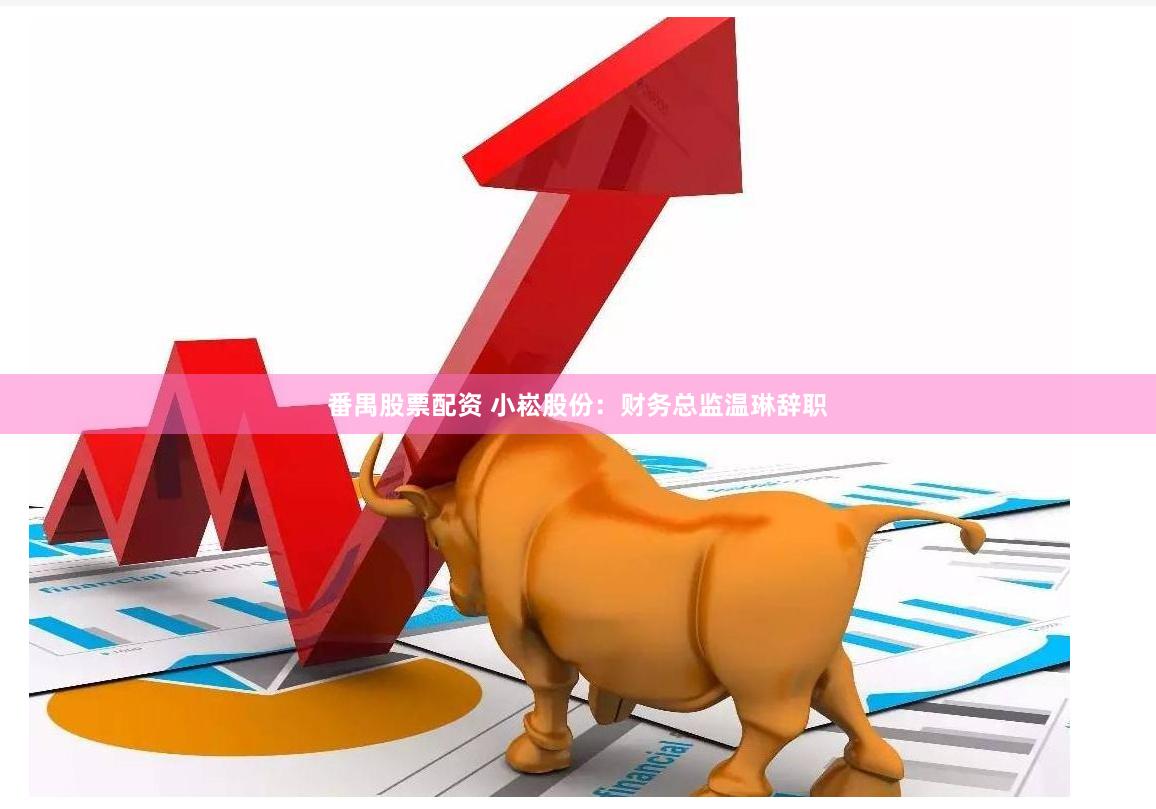 番禺股票配资 小崧股份：财务总监温琳辞职