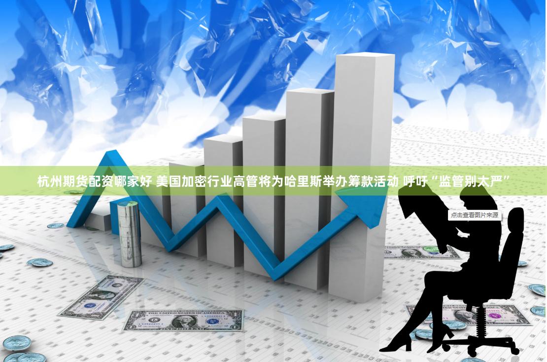 杭州期货配资哪家好 美国加密行业高管将为哈里斯举办筹款活动 呼吁“监管别太严”