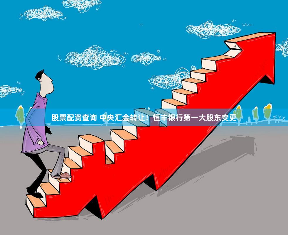 股票配资查询 中央汇金转让！恒丰银行第一大股东变更