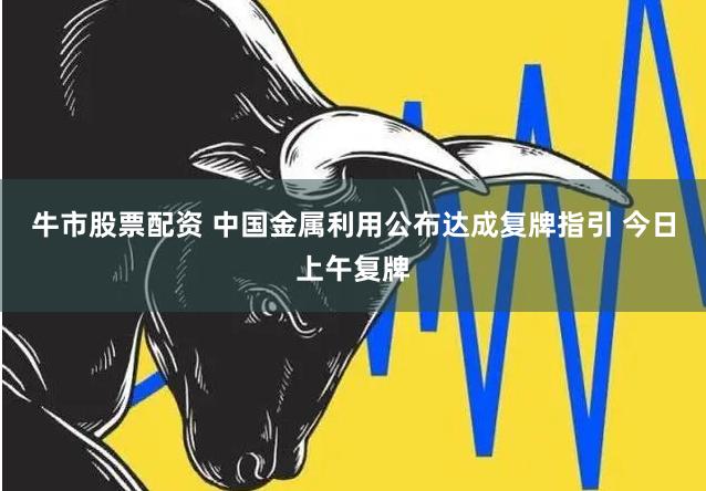 牛市股票配资 中国金属利用公布达成复牌指引 今日上午复牌