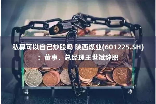 私募可以自己炒股吗 陕西煤业(601225.SH)：董事、总经理王世斌辞职