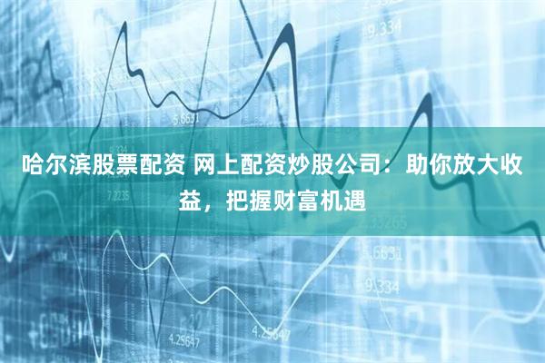 哈尔滨股票配资 网上配资炒股公司：助你放大收益，把握财富机遇
