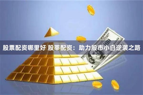 股票配资哪里好 股莘配资:助力股市小白逆袭之路